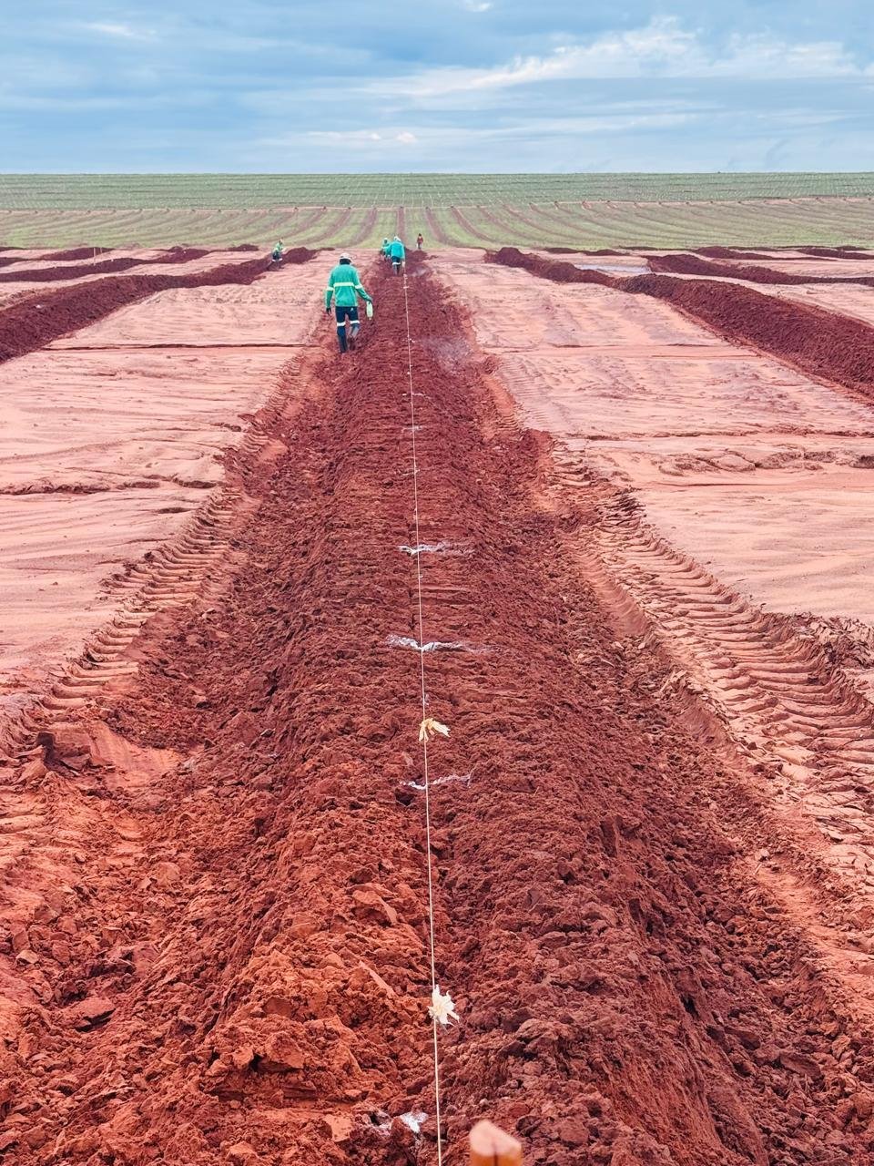 Alinhamento técnico em pomar cítrico